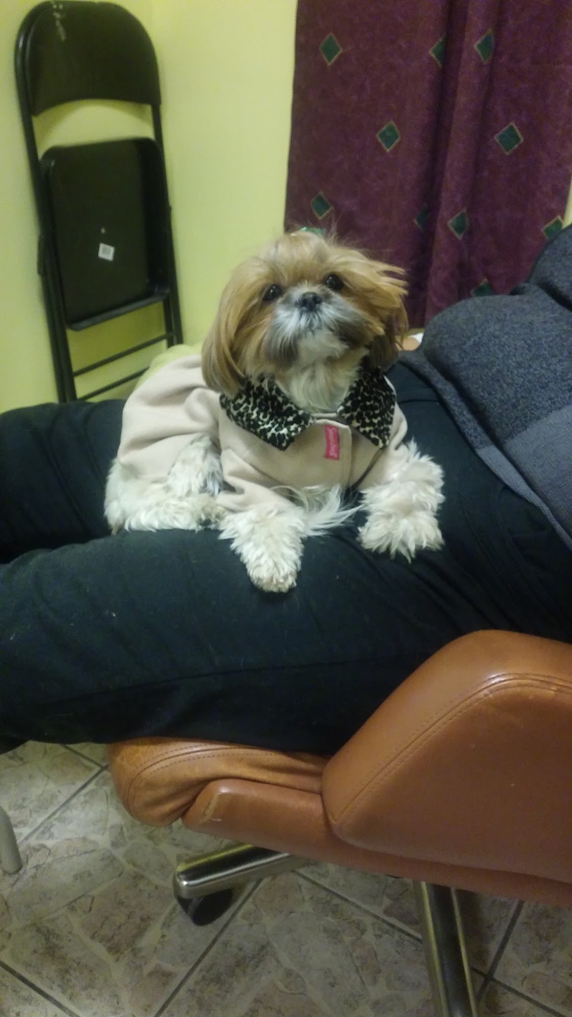 The Loving Tails Spa