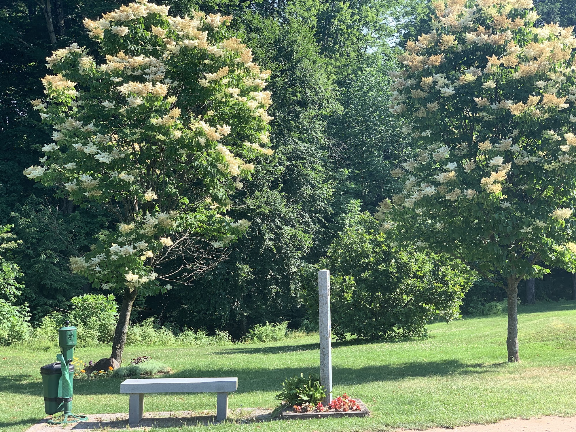 McConnellsville Country Club, Blossvale Menu, Reviews (75), Photos