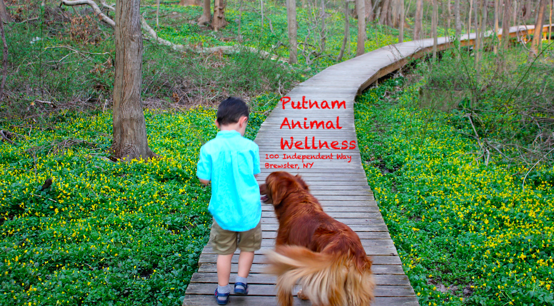Putnam Animal Wellness