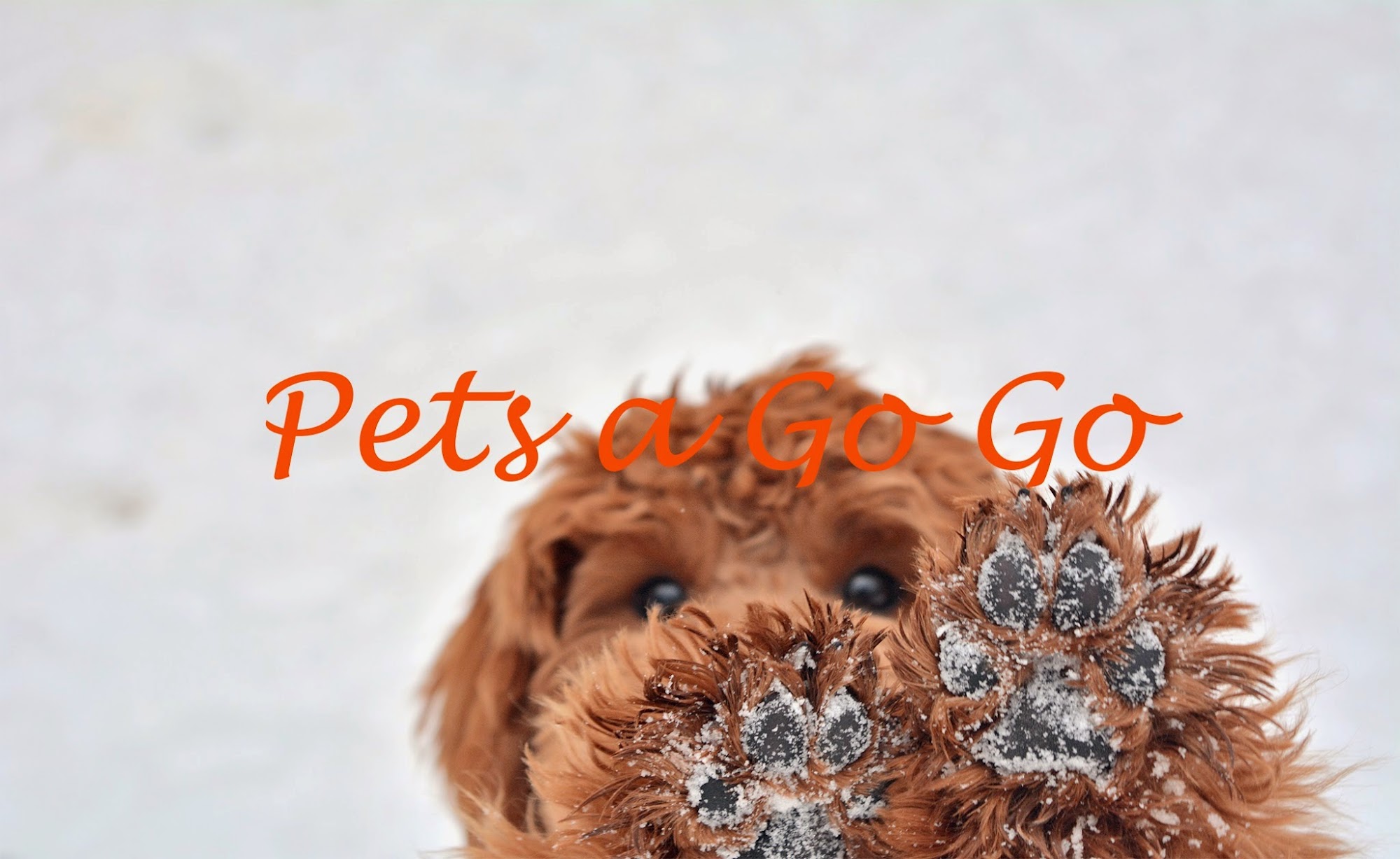 Pets a Go Go LLC