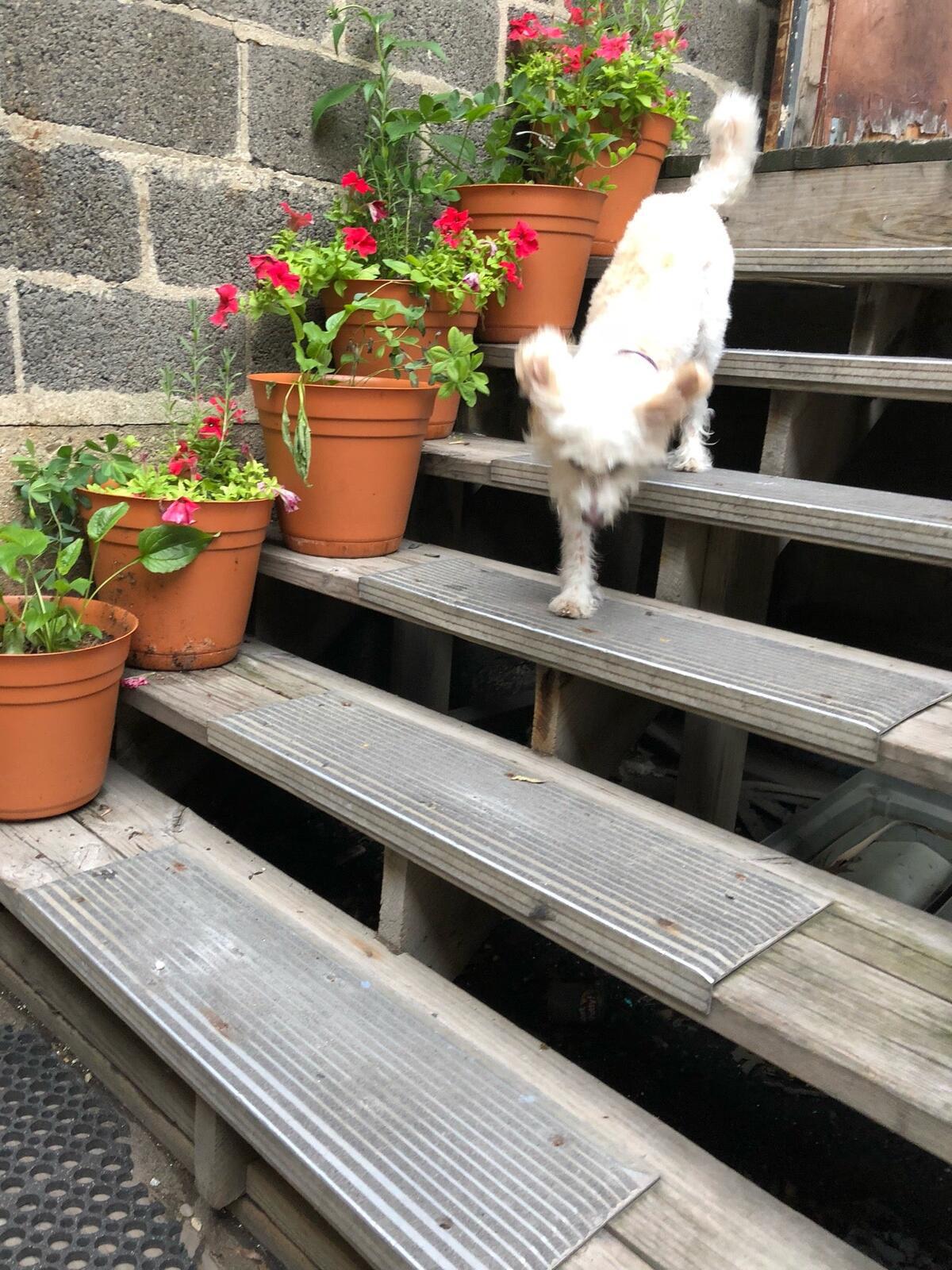 Photo credit: nextdoor