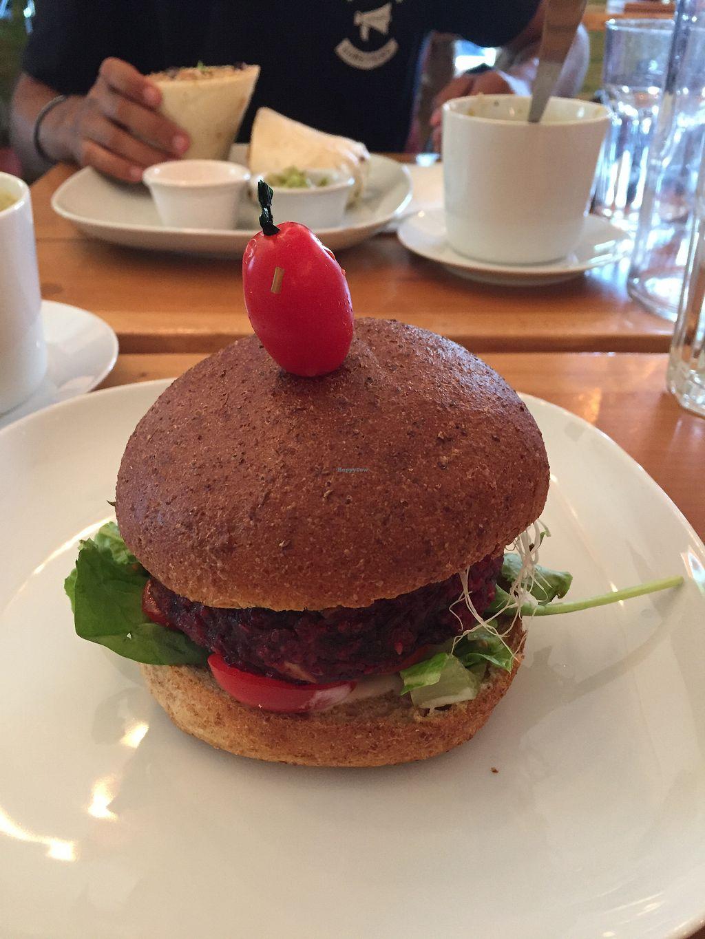 Photo credit: happycow
