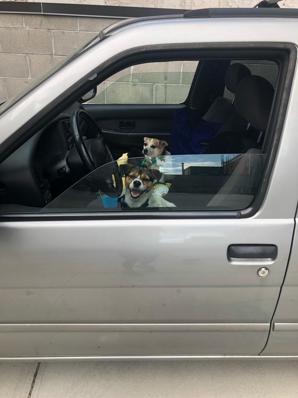 Photo credit: nextdoor