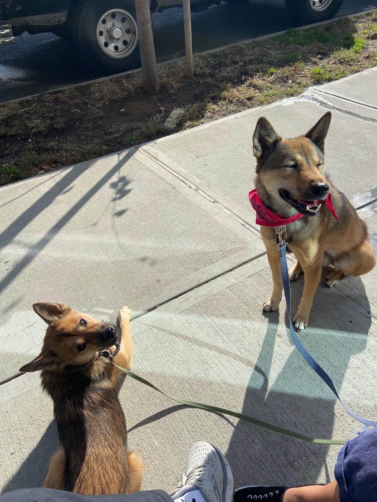 Photo credit: nextdoor