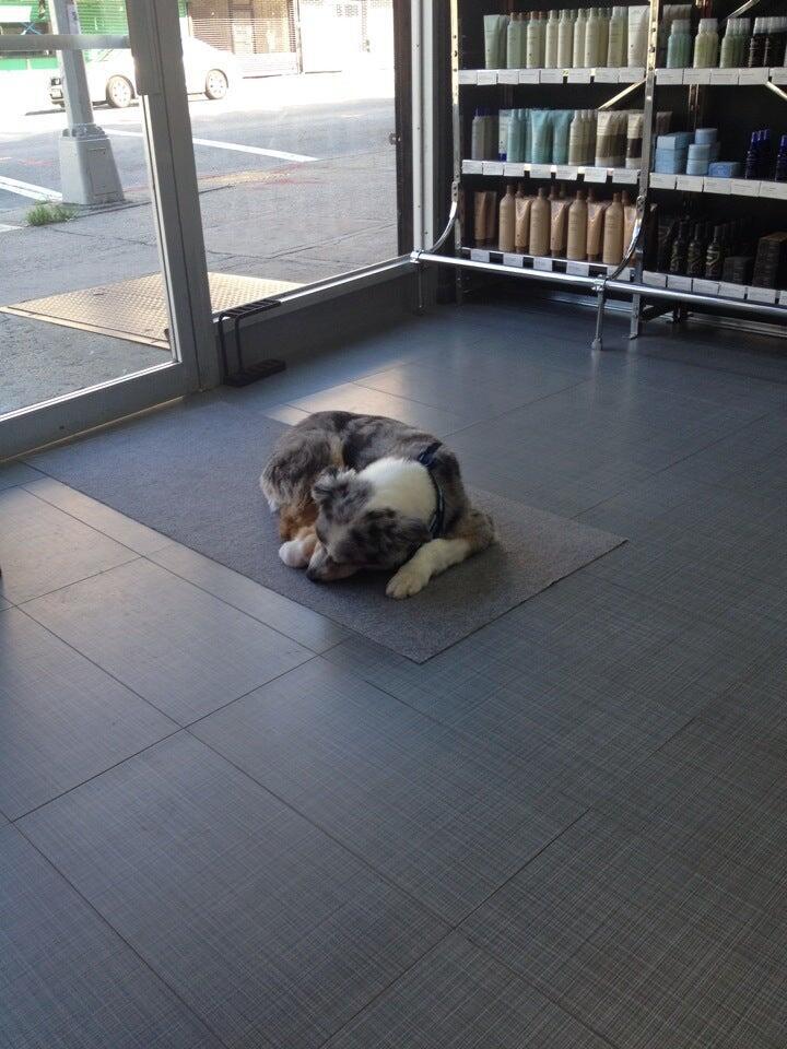 Photo credit: nextdoor