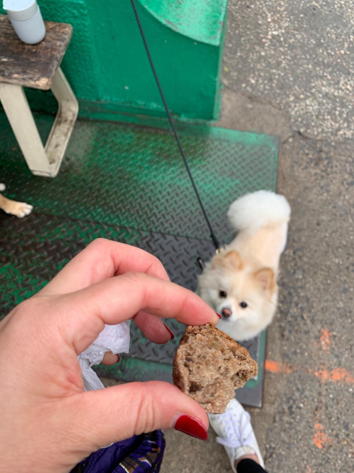 Photo credit: nextdoor