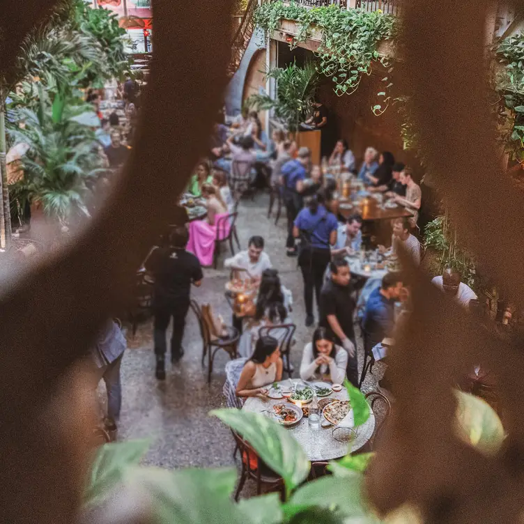 Photo credit: opentable