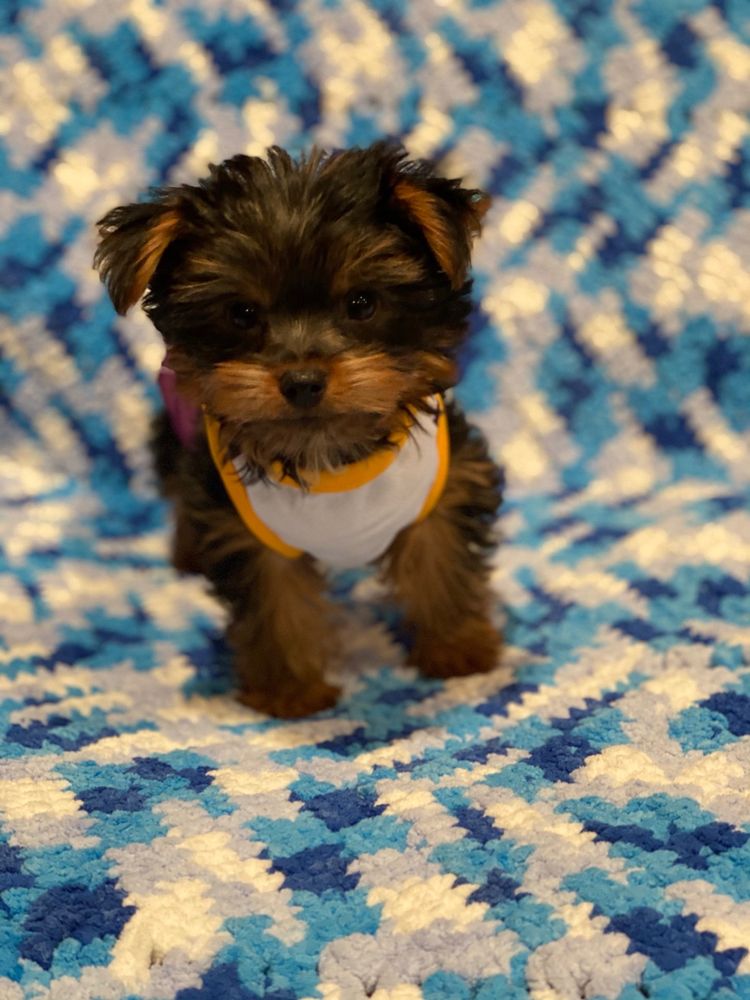 Photo credit: 