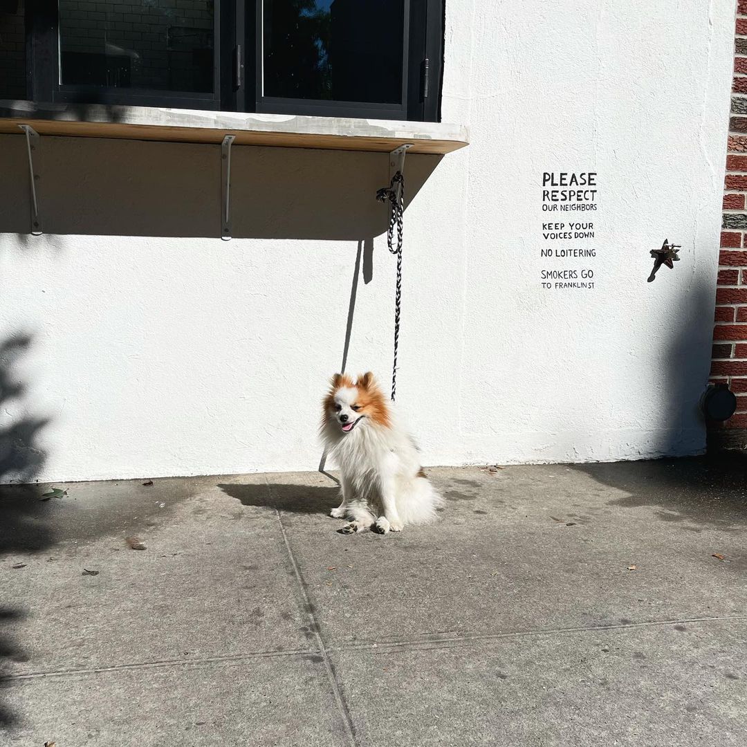 Photo credit: instagram