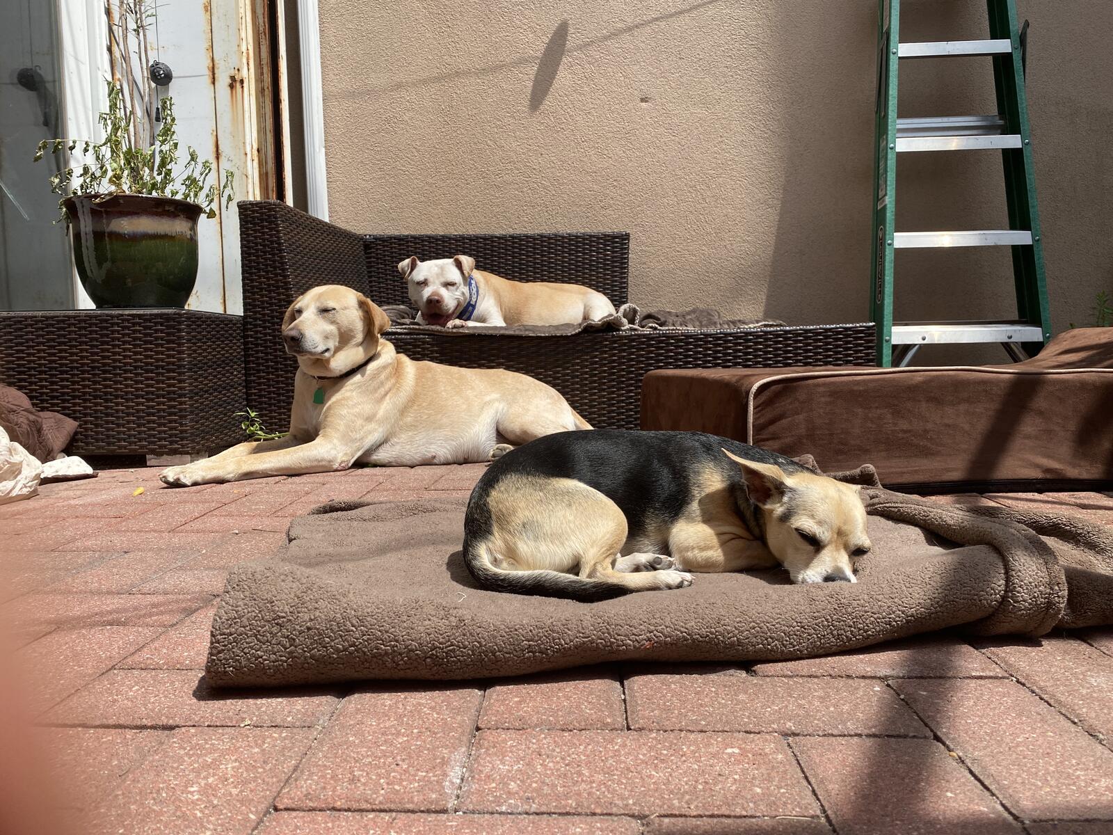 Photo credit: nextdoor