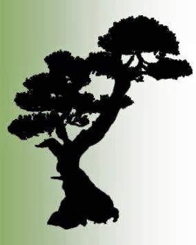 Sage Living Acupuncture