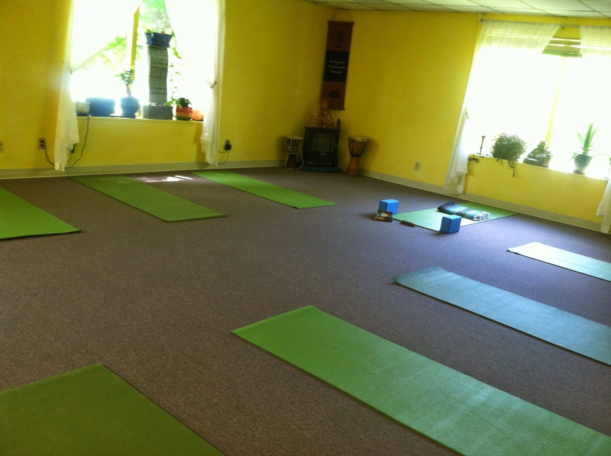 The Yoga Lily Online Studio & Training Center