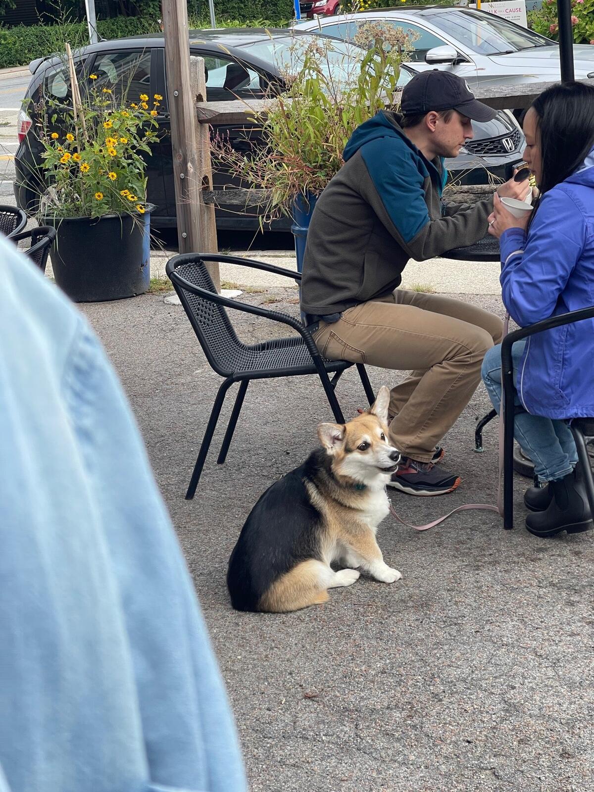 Photo credit: nextdoor