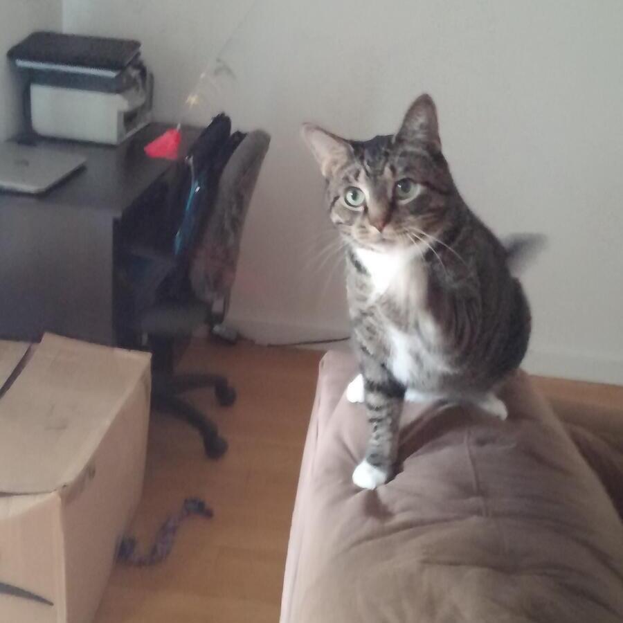 Photo credit: nextdoor
