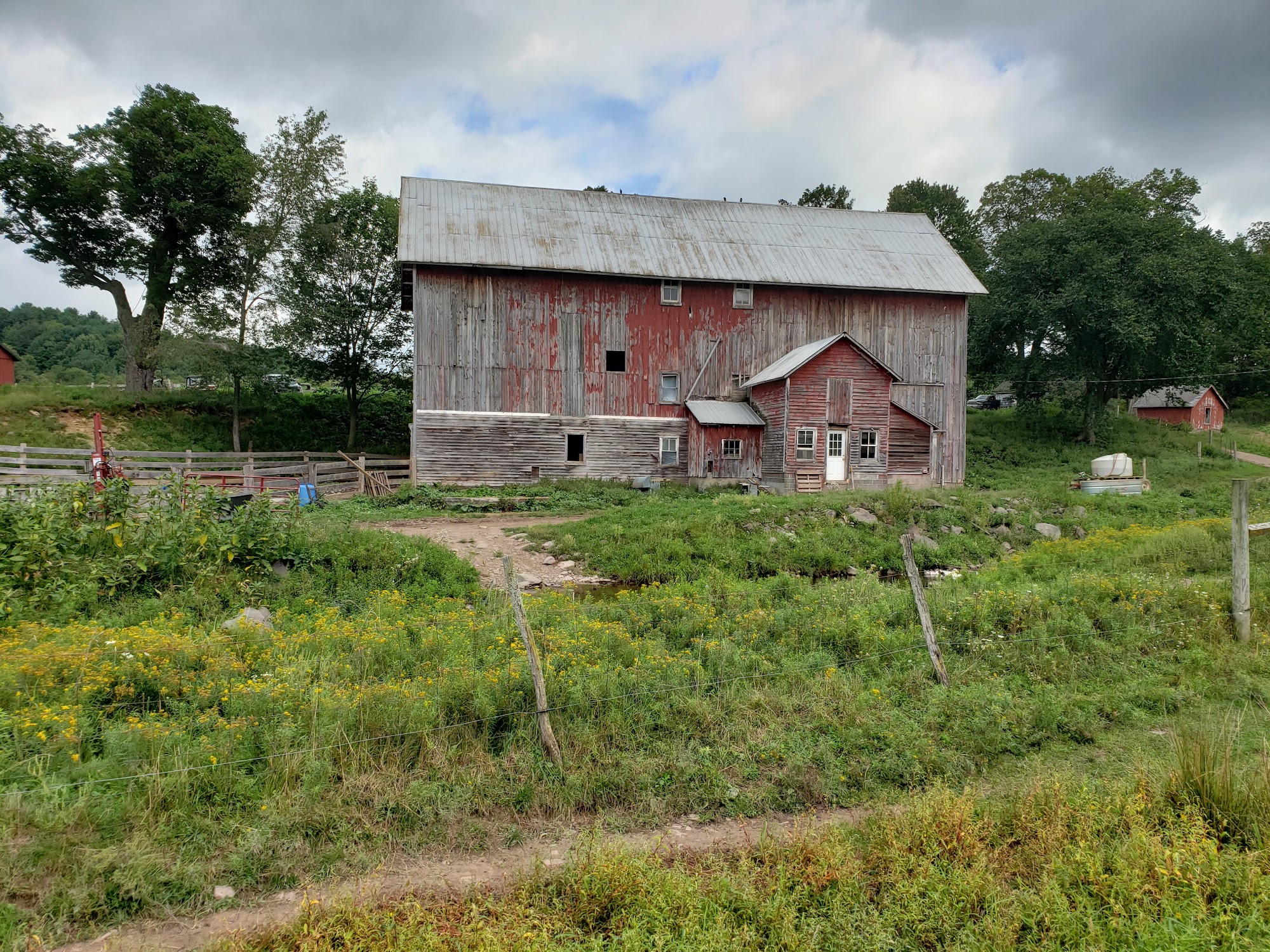 Stone & Thistle Farm