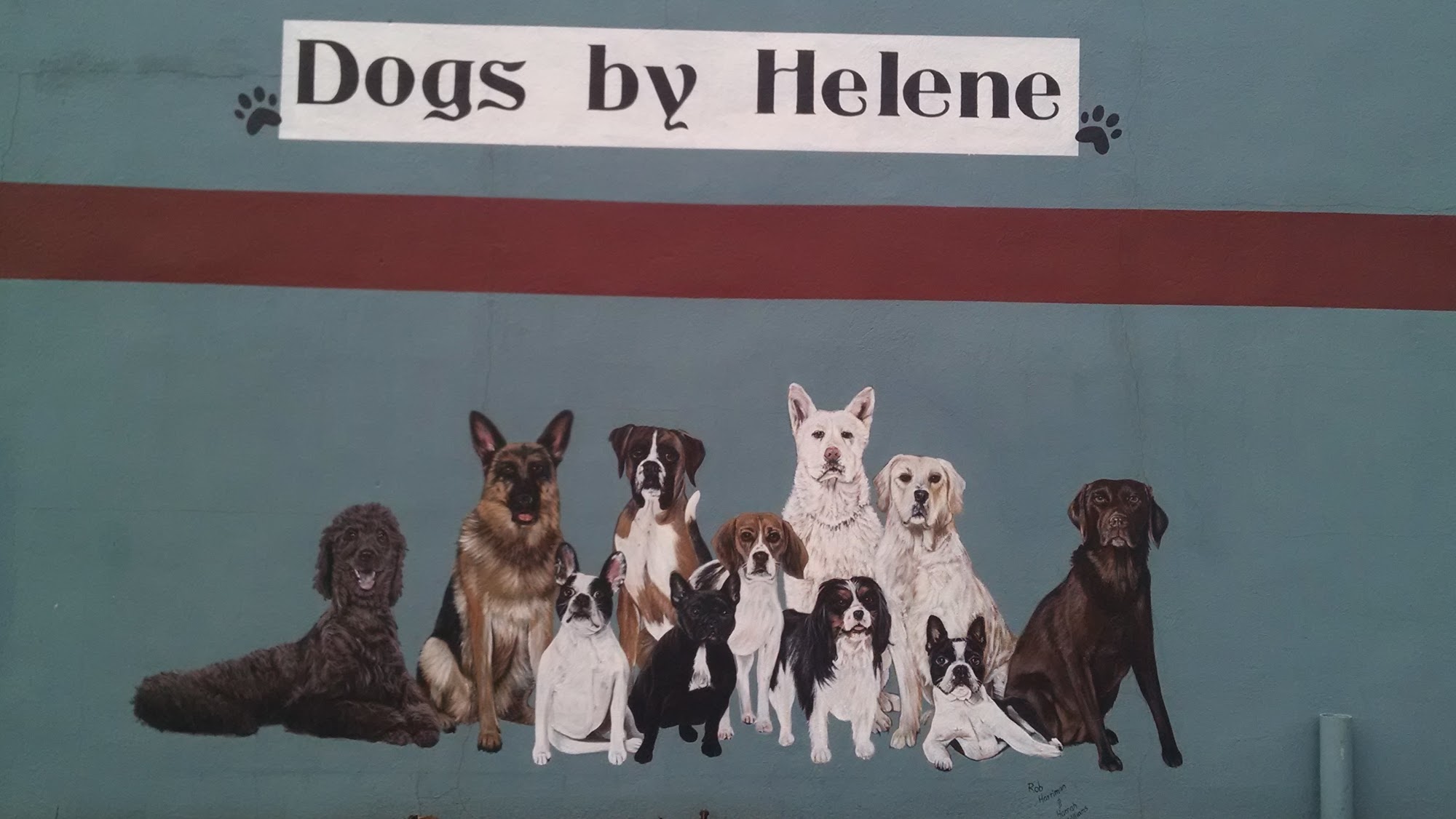 Dogs By Helene