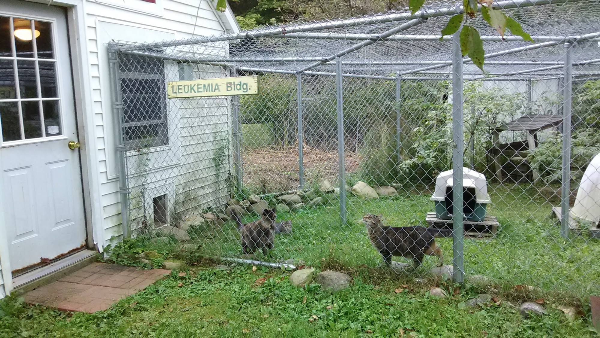 Estherville Animal Shelter