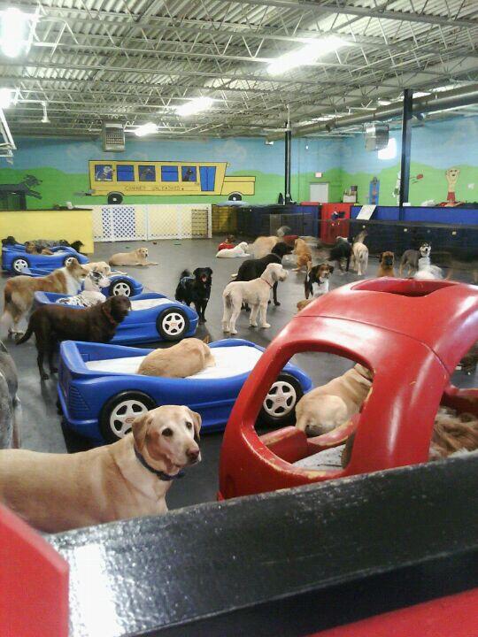 Photo credit: nextdoor