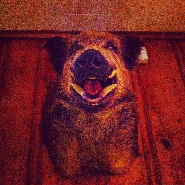 Photo credit: nextdoor