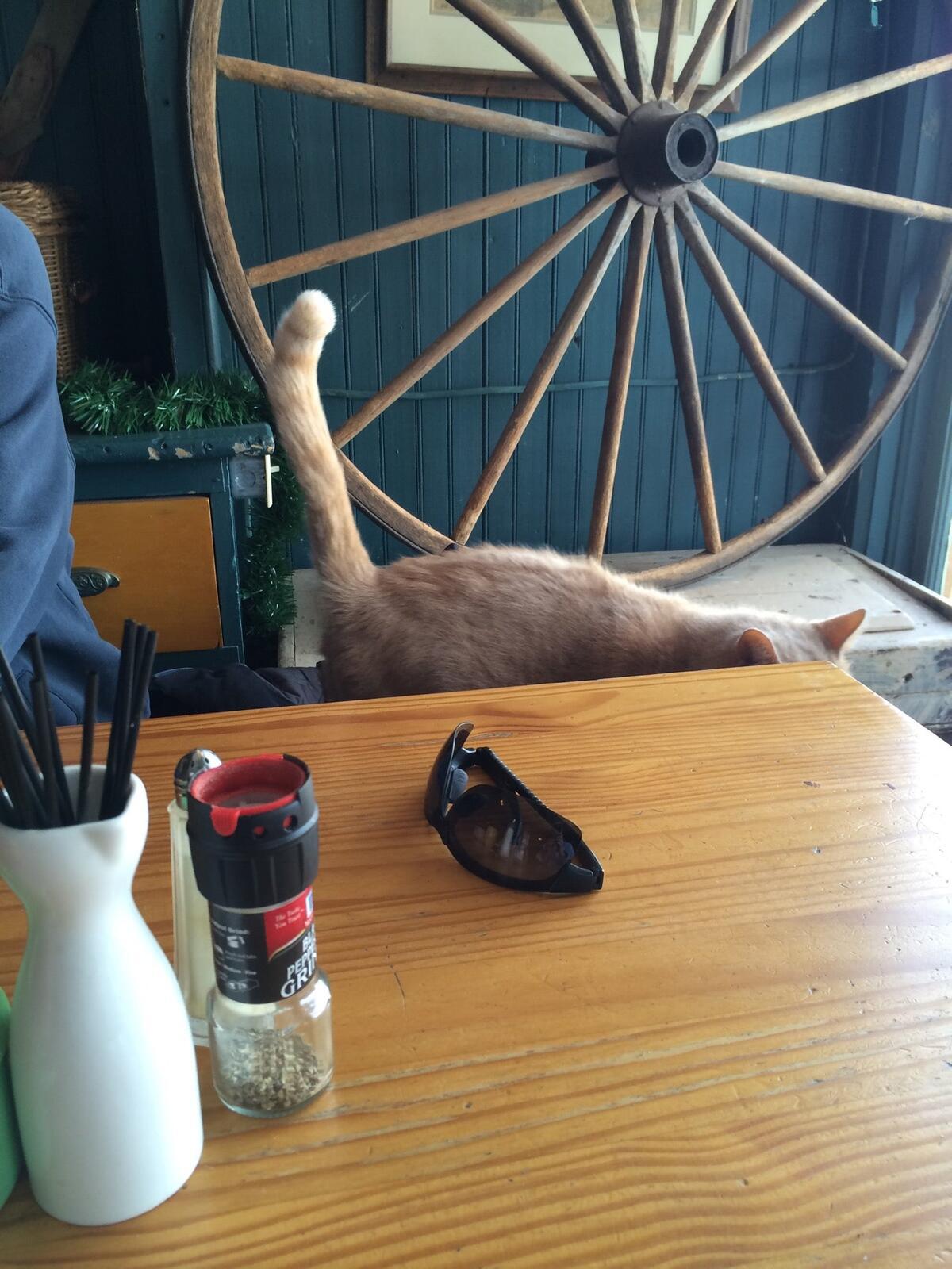 Photo credit: nextdoor