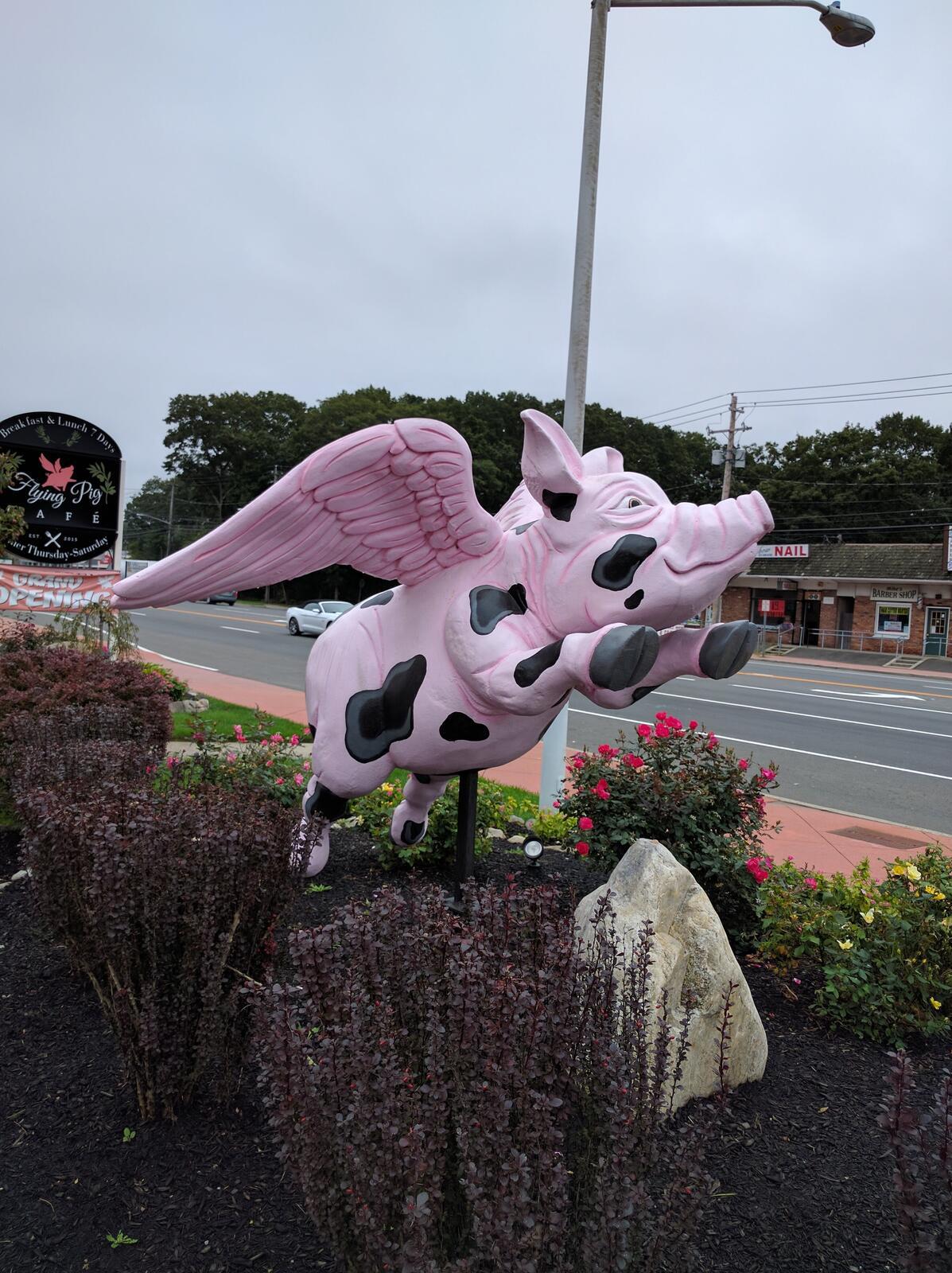 Photo credit: nextdoor