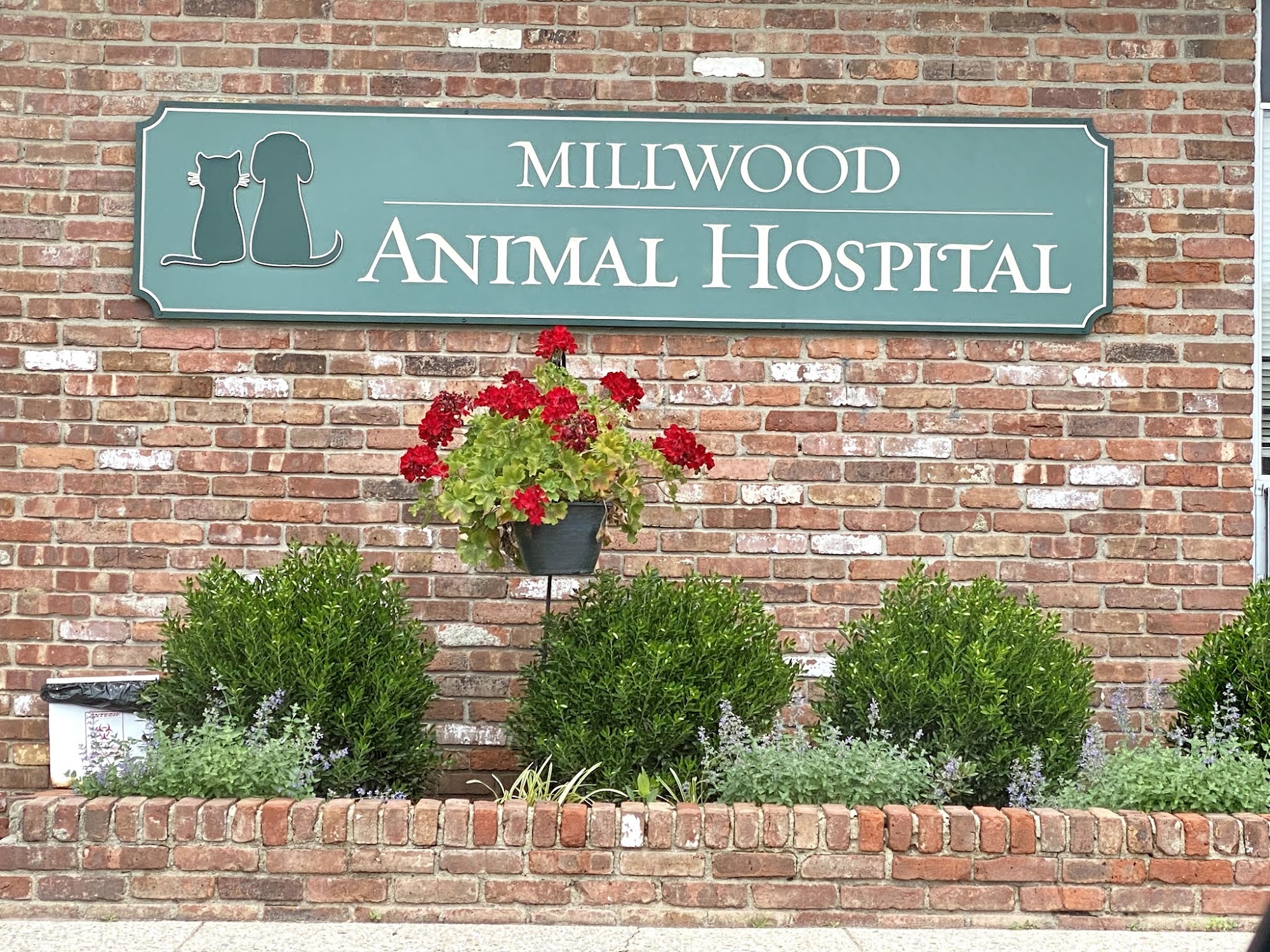 Millwood Animal Hospital