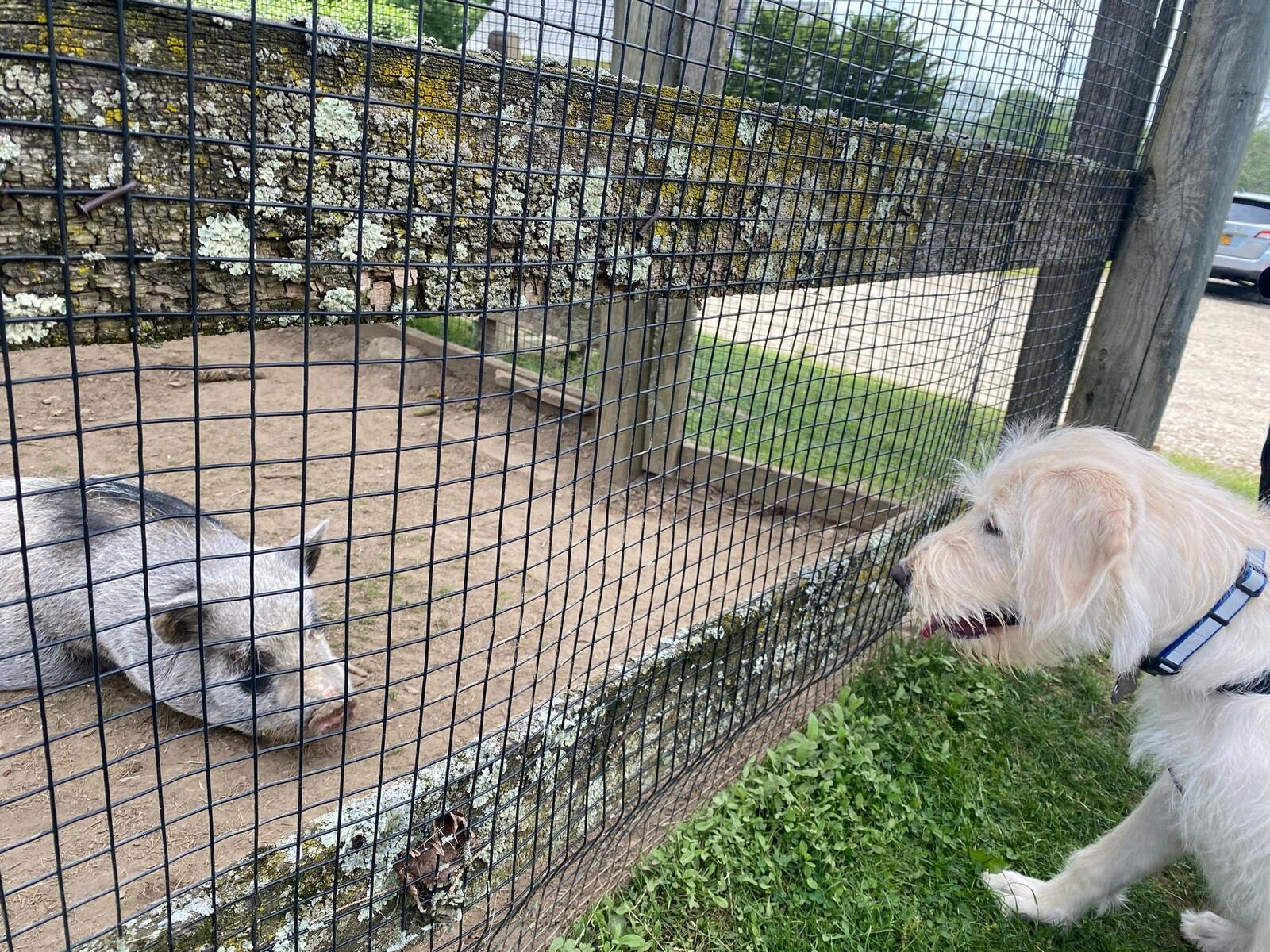 Photo credit: nextdoor