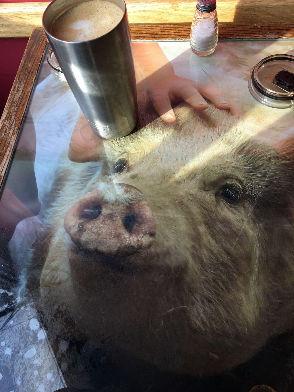 Photo credit: happycow