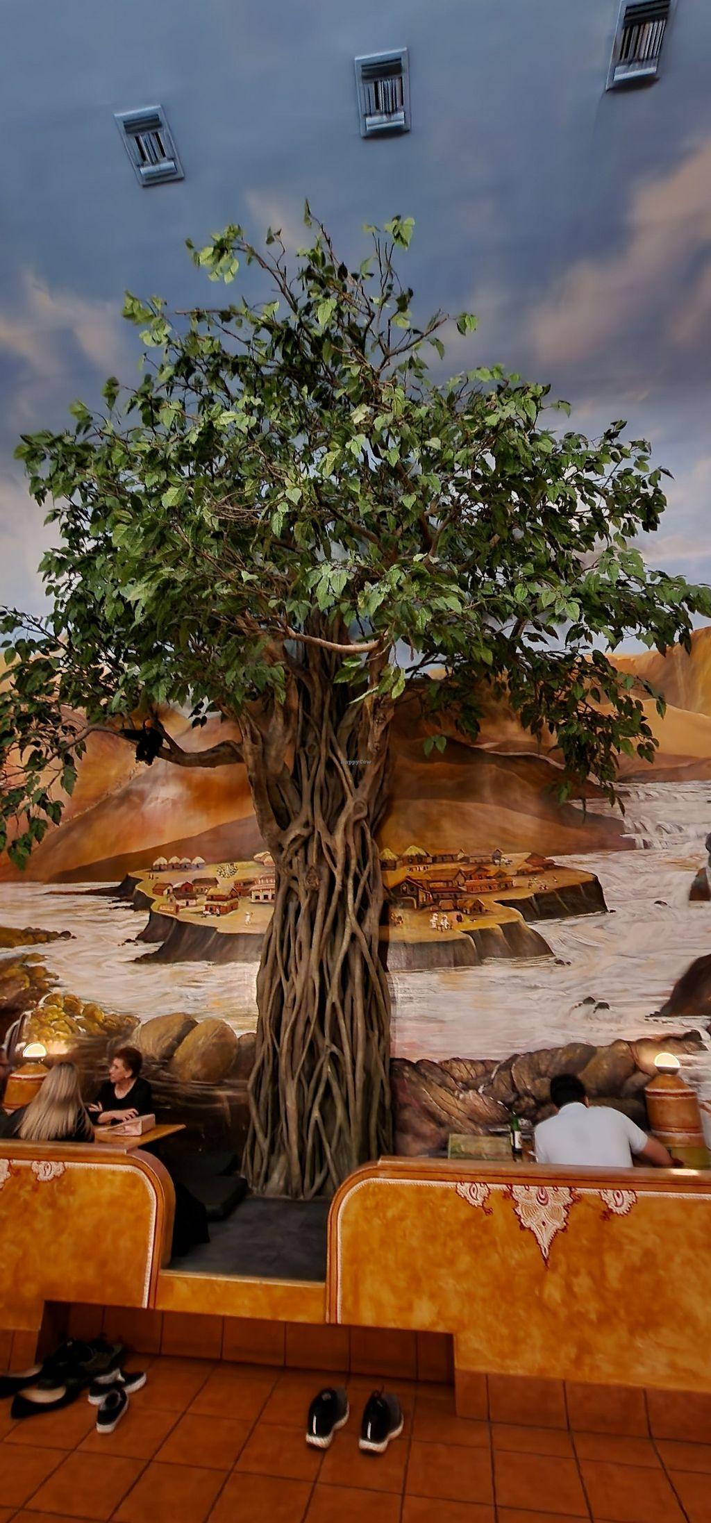 Photo credit: happycow