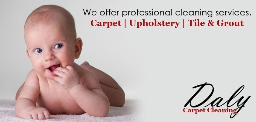 Daly Carpet Cleaning Inc. 17 Old Highland Ave, Pearl River New York 10965
