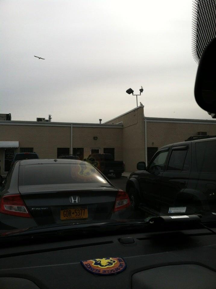 Photo credit: nextdoor