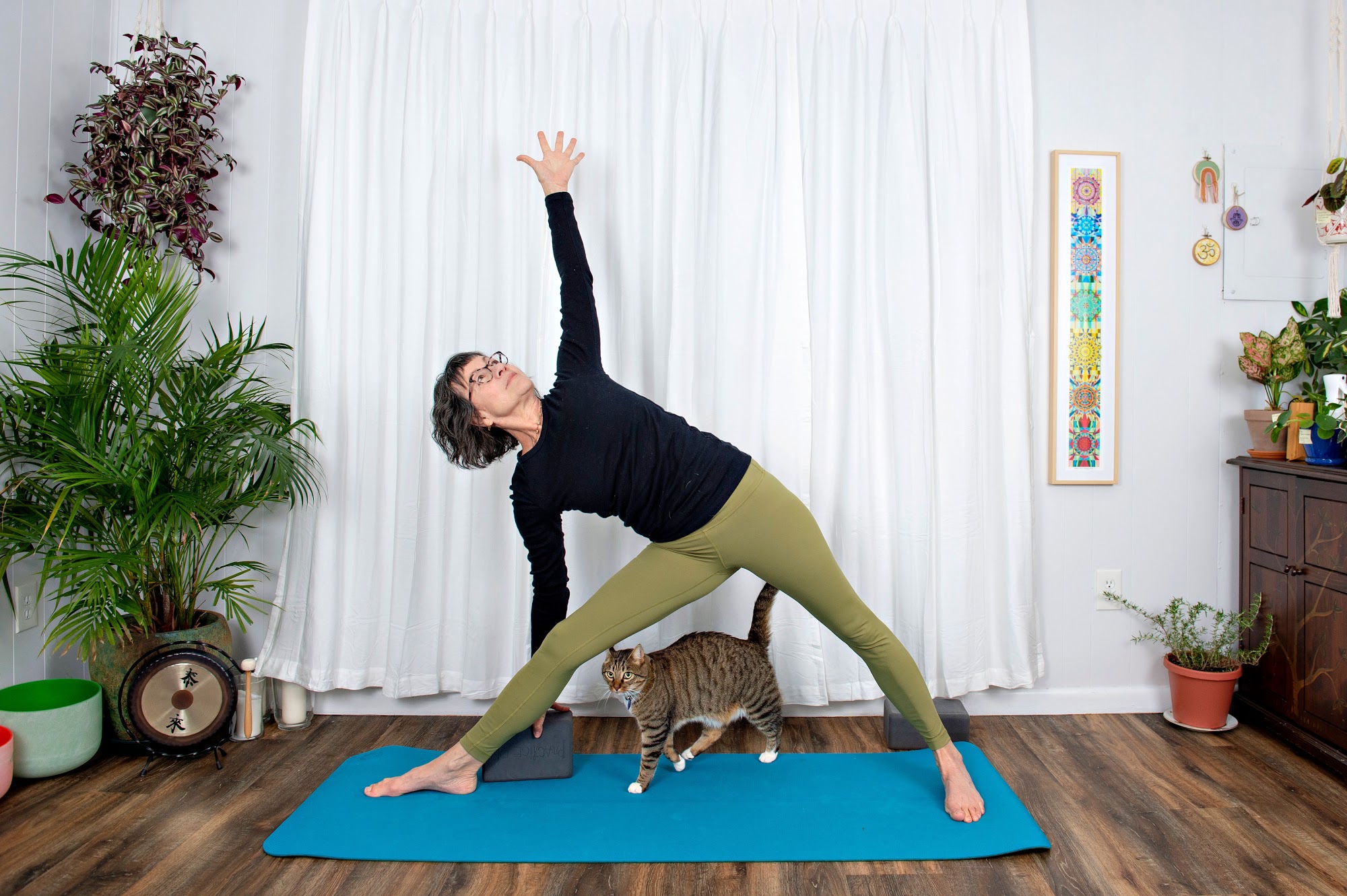 Hudson River Yoga