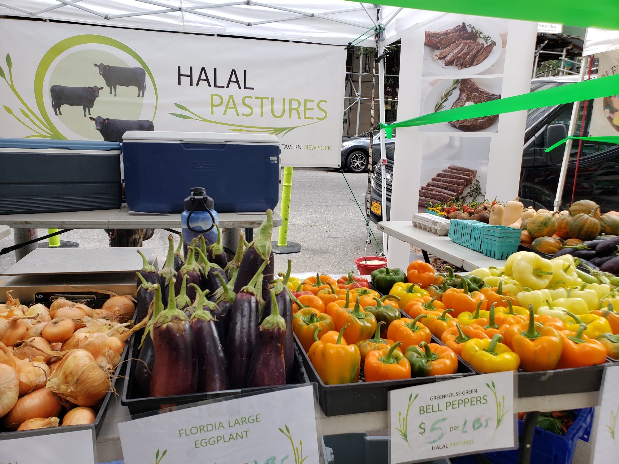 Halal Pastures Farm