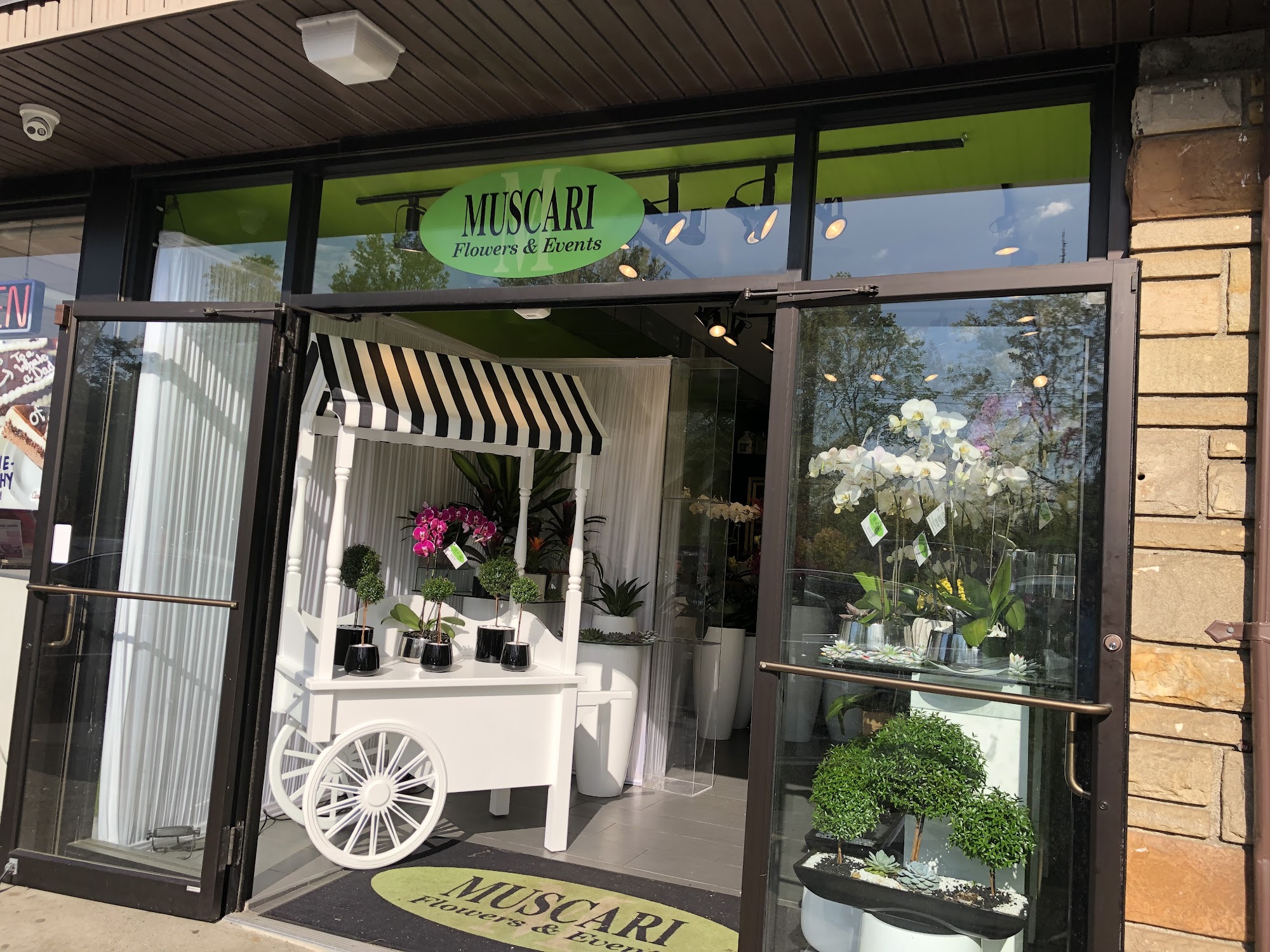 Muscari Flowers & Events (Online Shop open 24hr)