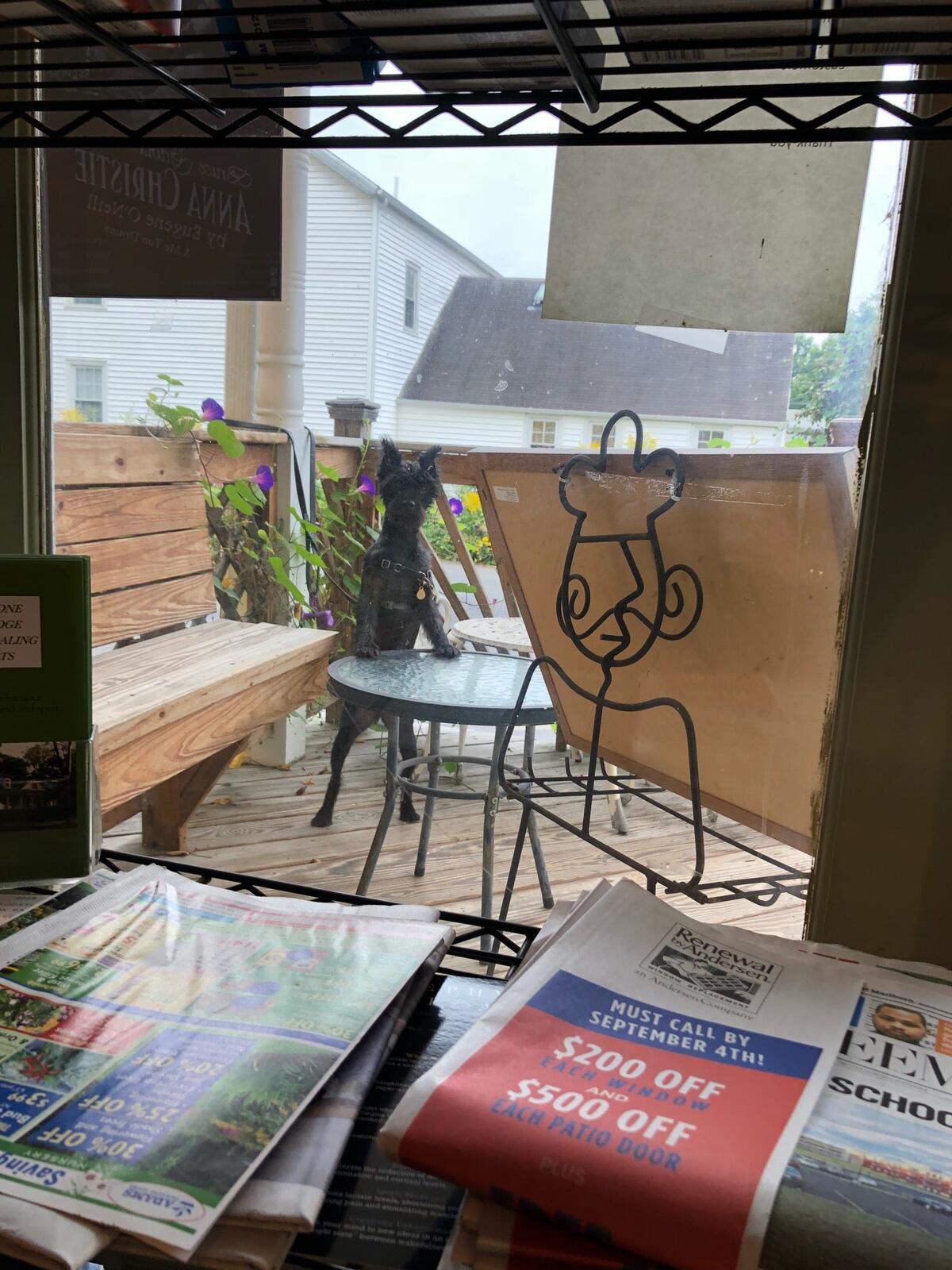 Photo credit: nextdoor