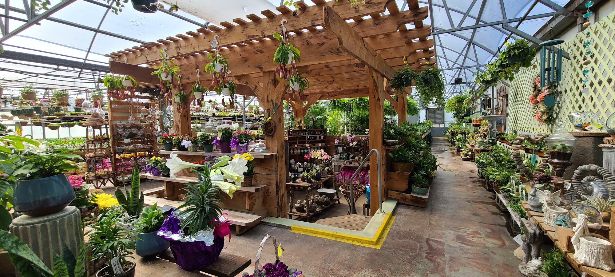 Chester's Flower Shop and Greenhouses