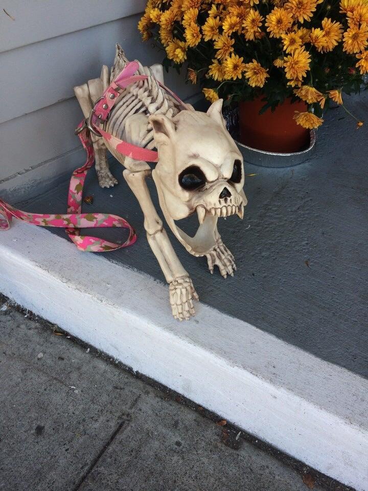 Photo credit: nextdoor