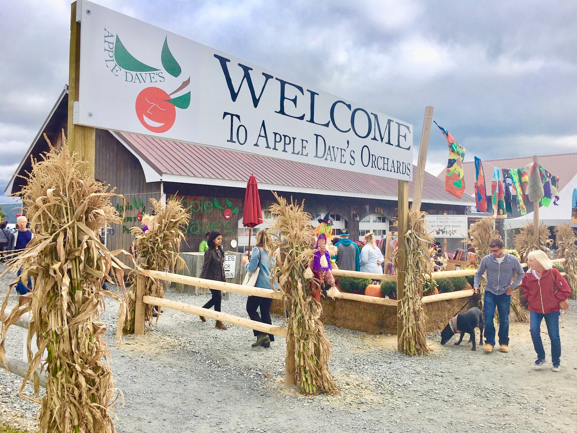 Apple Dave's Orchards