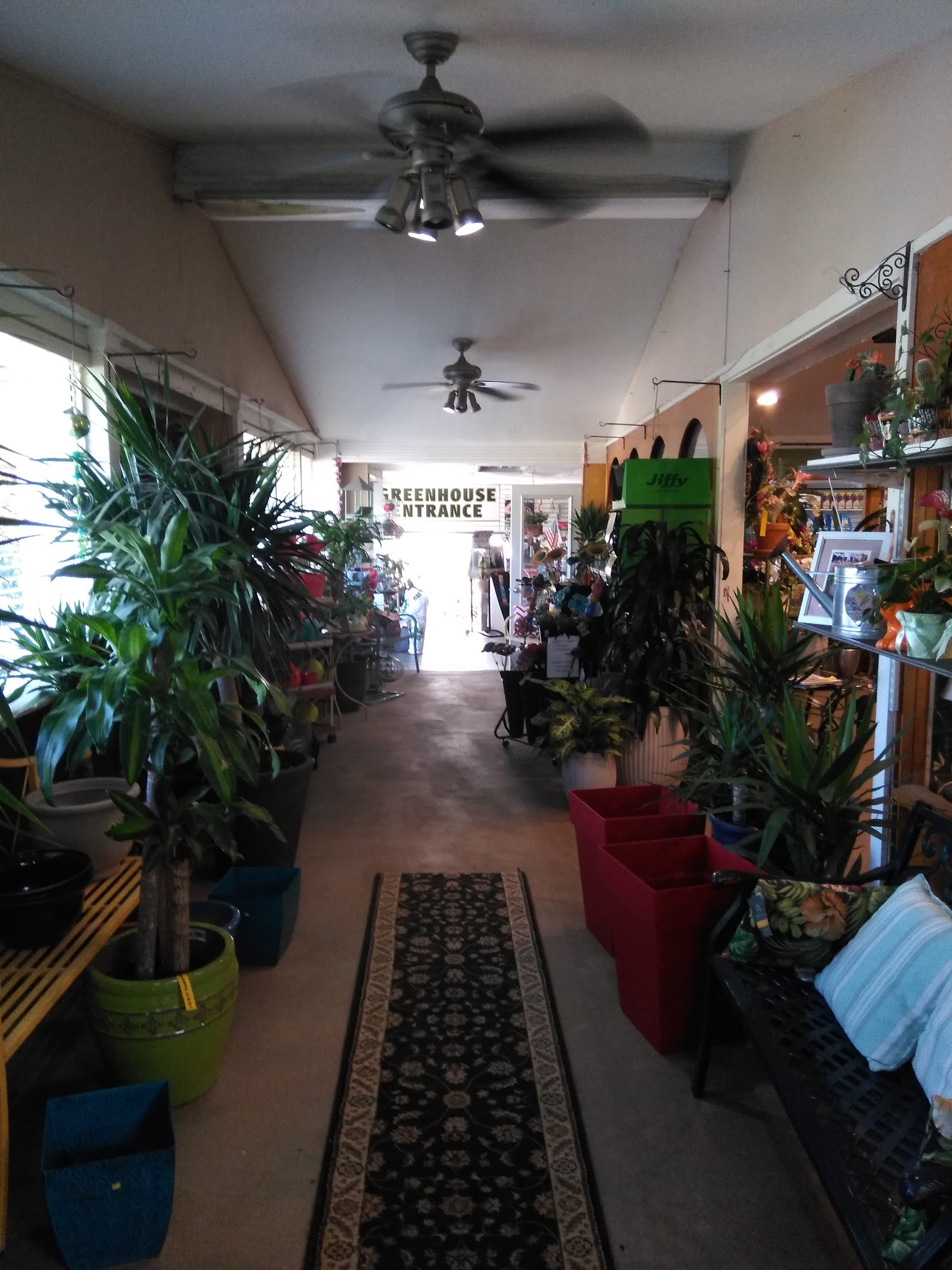 Amodio's Garden Center, Nursery and Flower Shop