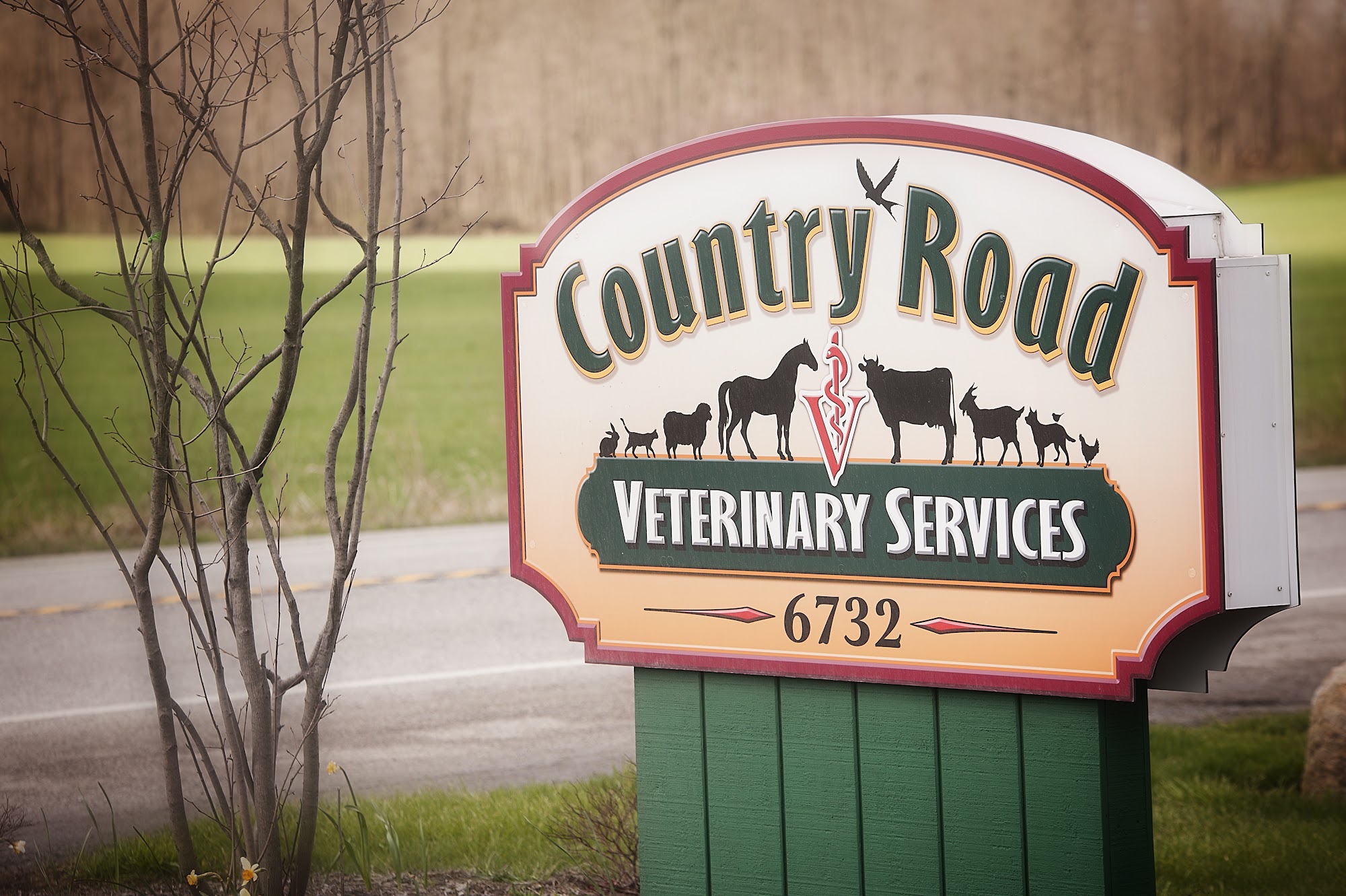 Country Road Veterinary Services