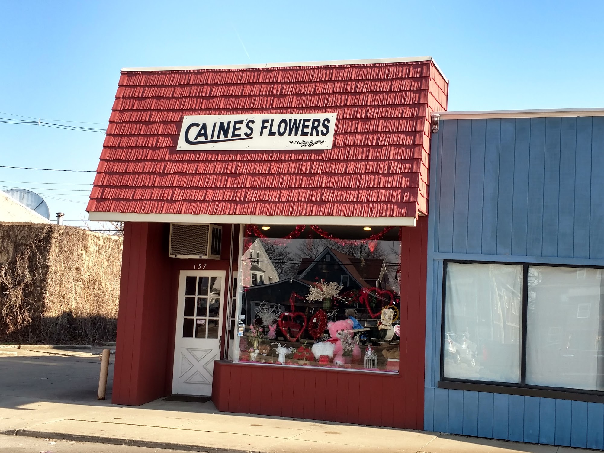 Caines Flowers