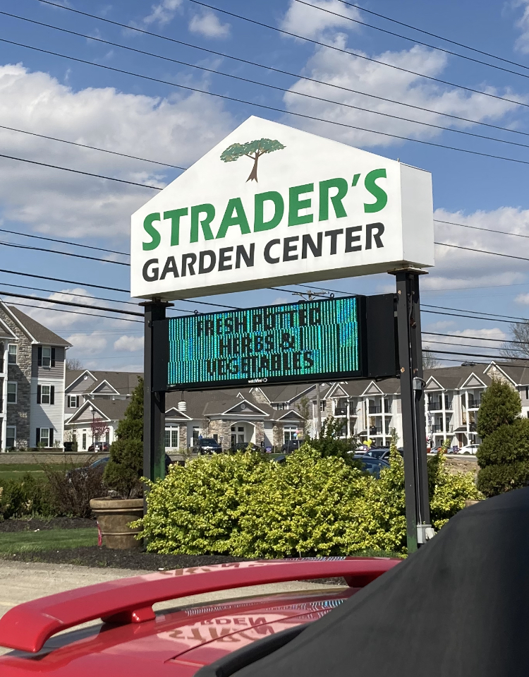Strader's Garden Center