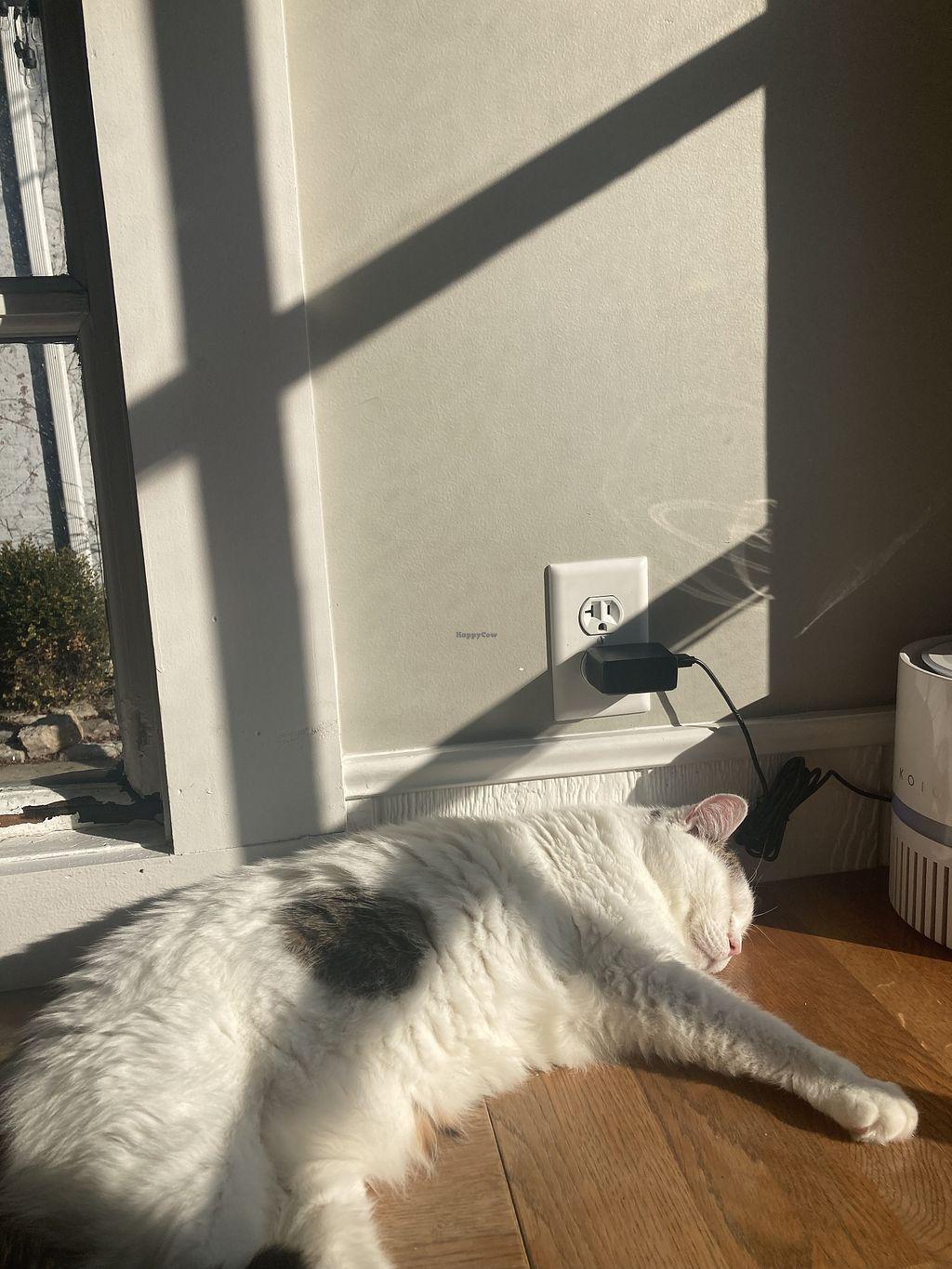 Photo credit: happycow