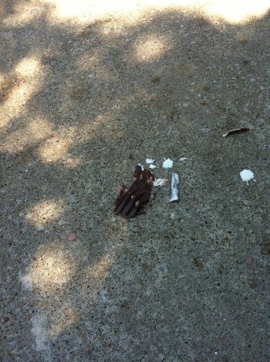 Photo credit: nextdoor