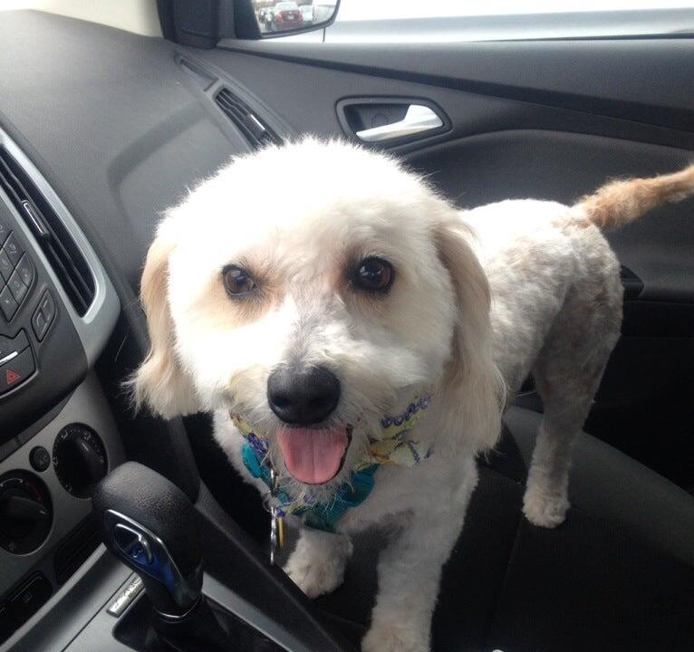 Photo credit: nextdoor