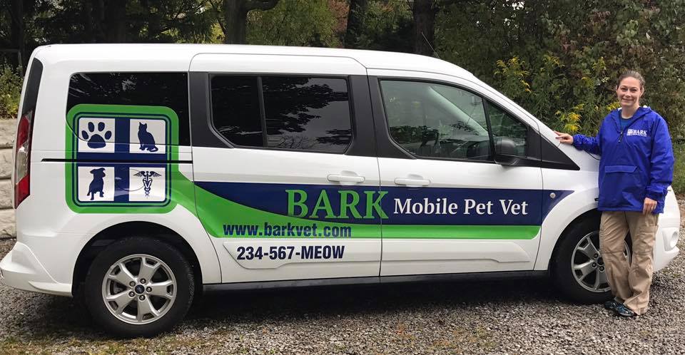 Bark Veterinary Clinic