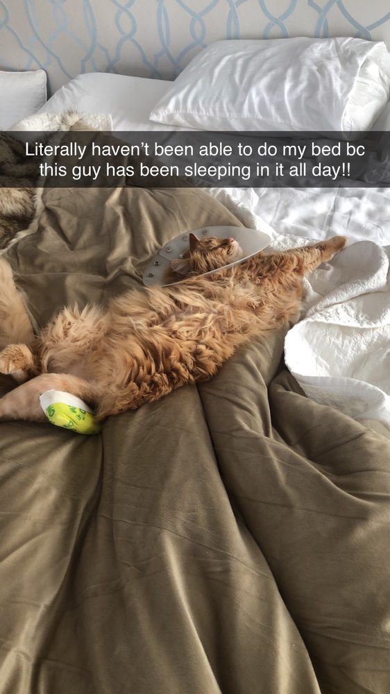 Photo credit: 