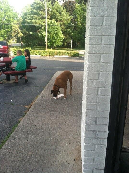 Photo credit: nextdoor