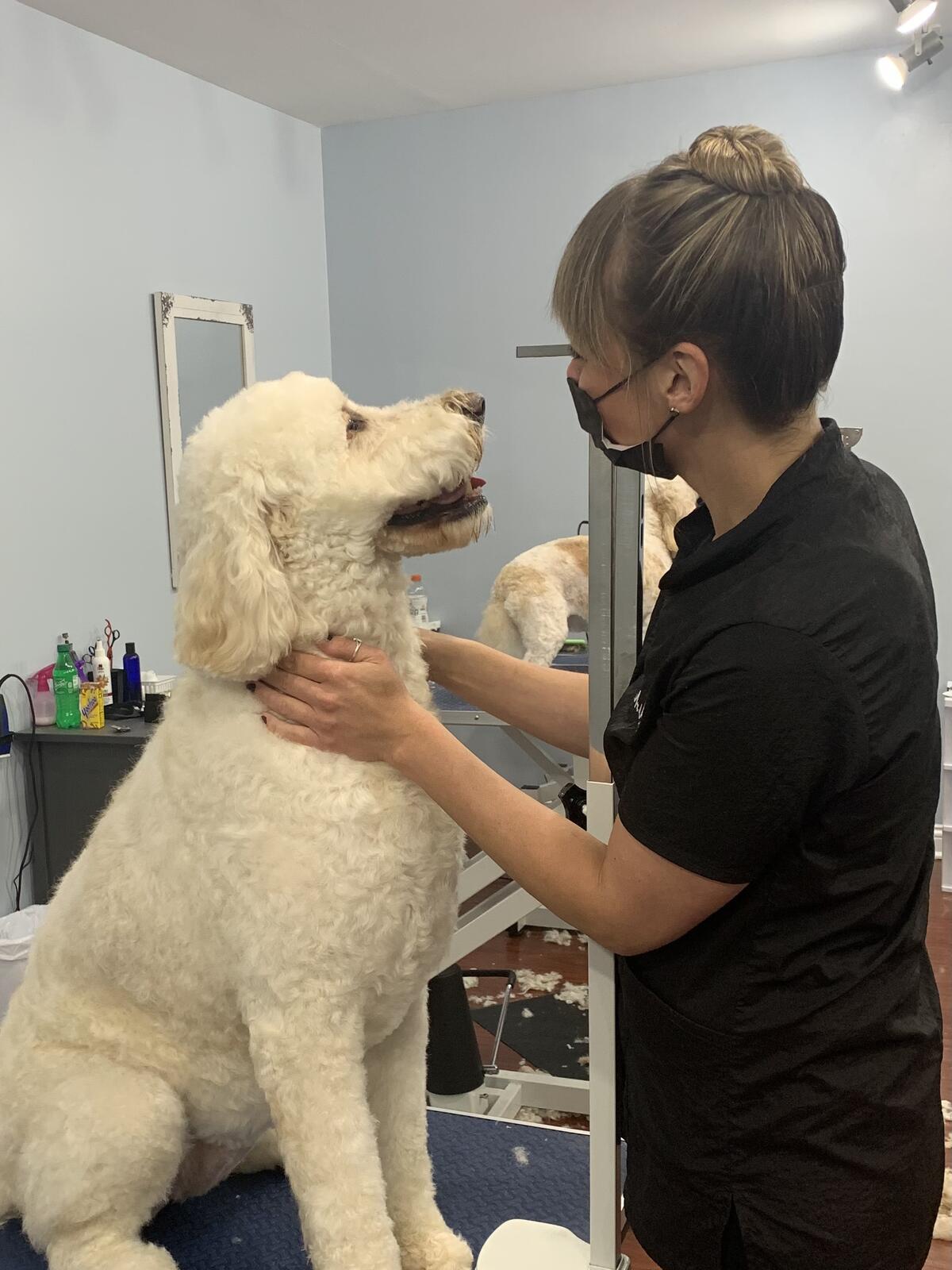 Photo credit: nextdoor