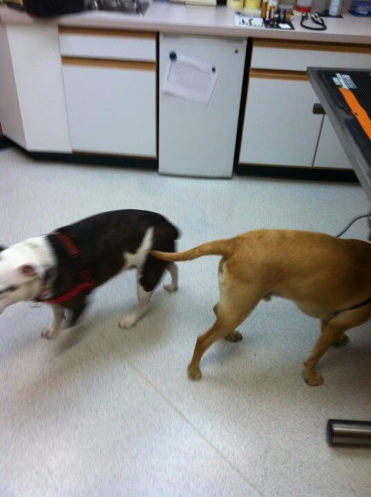 Photo credit: nextdoor